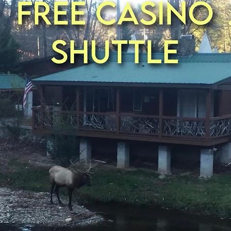 Qualla Cabins And Motel Cherokee Near Casino Whittier ภายนอก รูปภาพ