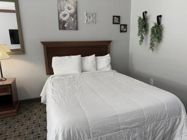Qualla Cabins And Motel Cherokee Near Casino Whittier ภายนอก รูปภาพ